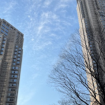 東京都庁
